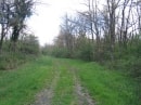 bois d'Igné